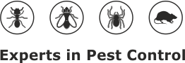 Experts in Pest Control